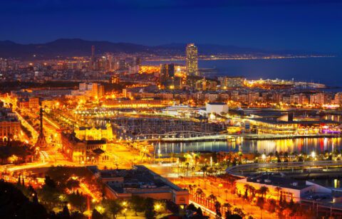 BCN Nit Bearfotos