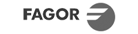 elect fagor